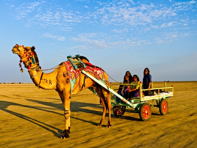 Kutch Tour Package 